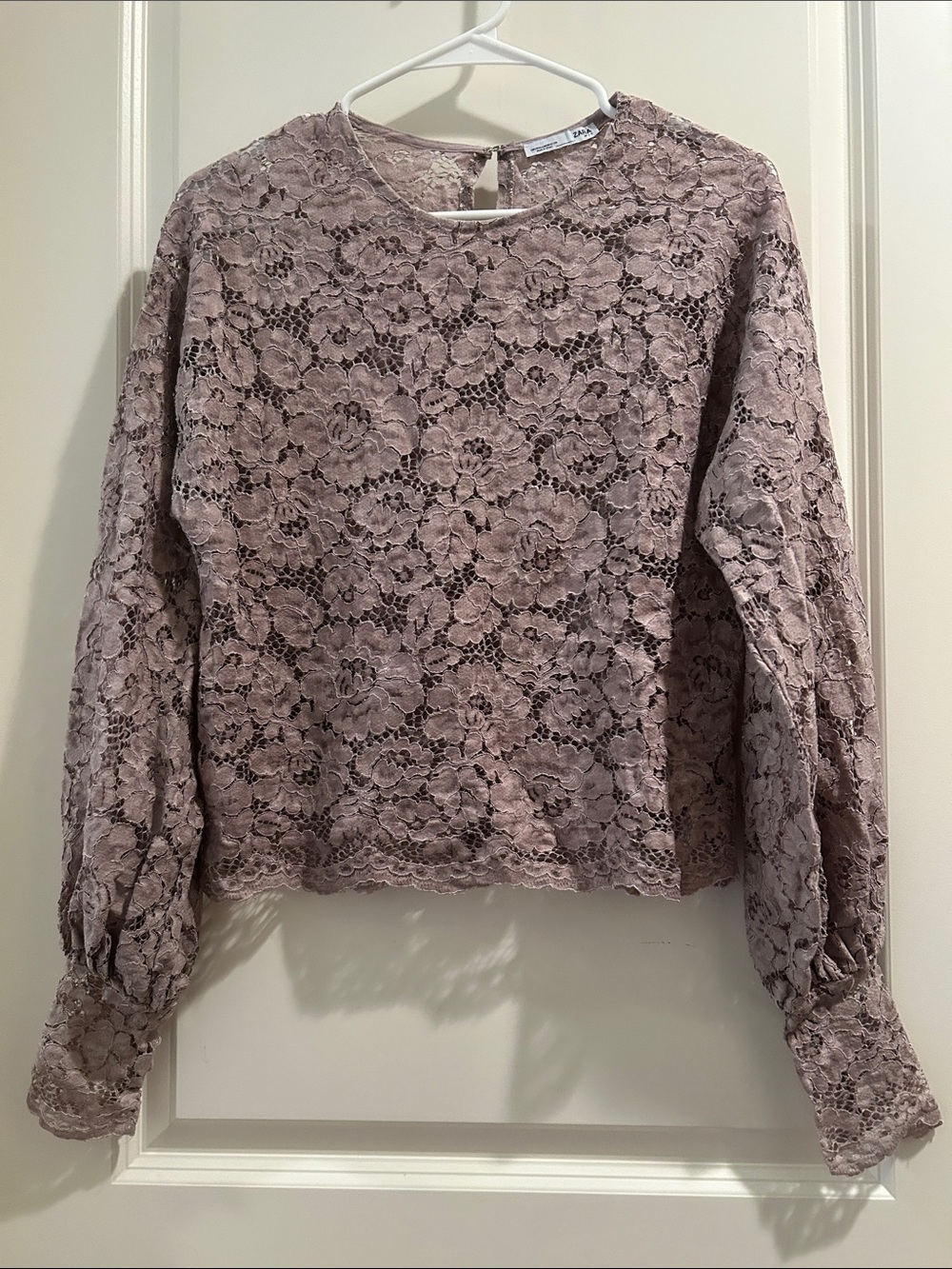 Zara GORGEOUS SEXY Lace peekaboo LongSleeve Blouse scallop hem size M beige